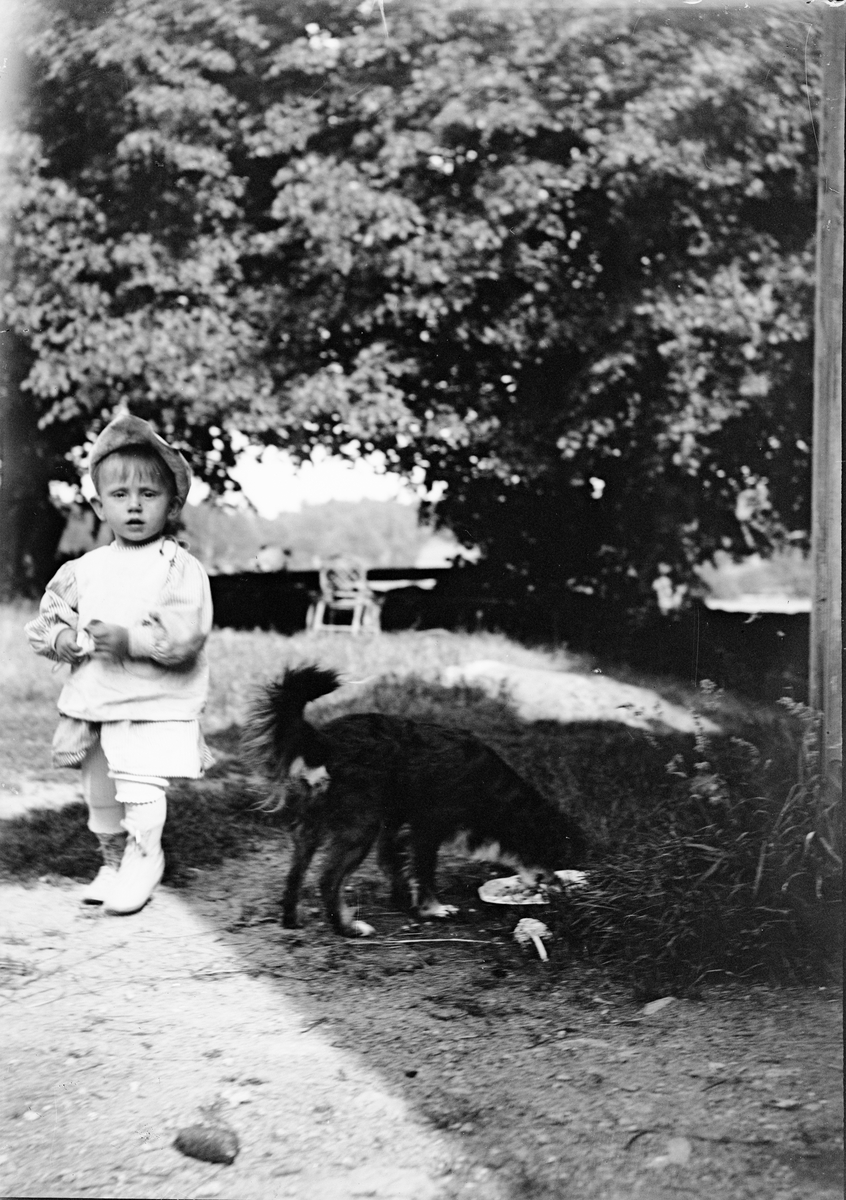 Okänd,, Liten pojke med hund ute på gården, sannolikt i Sverige
