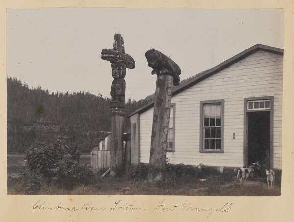 Unknown, Climbing Bear Totem, Fort Wrangell