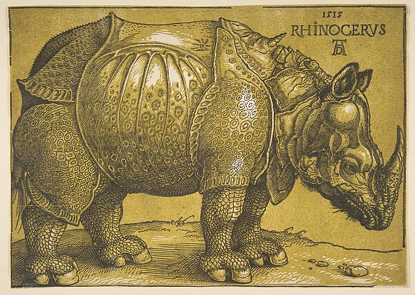 Albrecht Dürer, The Rhinoceros