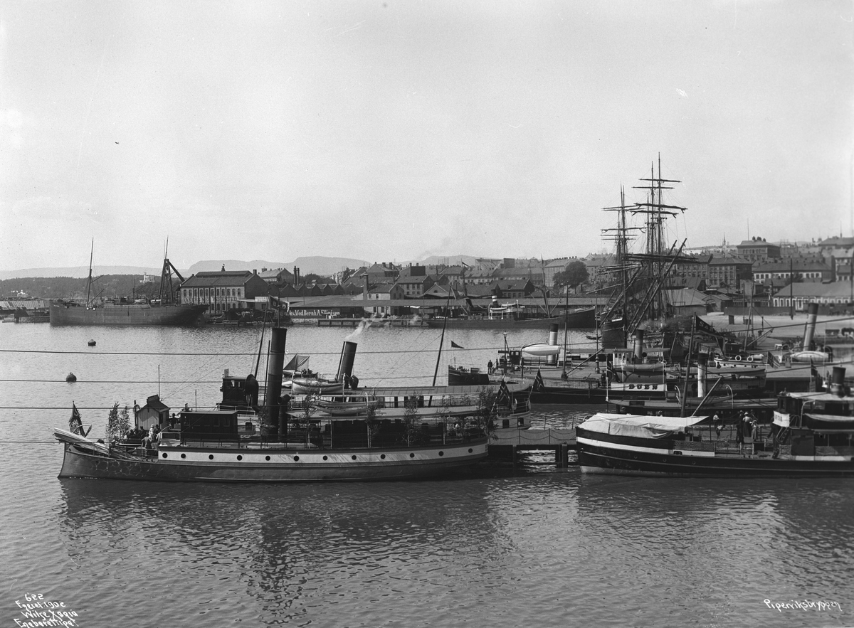 Anders Beer Wilse, Prot: Piperviksbryggen Juni 1902