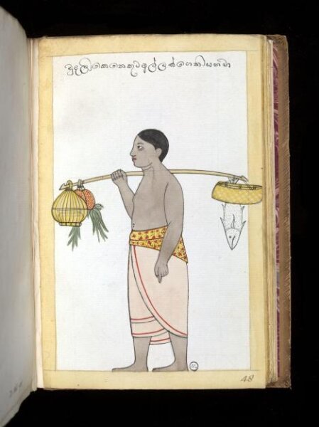 Unknown, One of sixty-three drawings from an Album depicting Sinhalese occupations and castes.