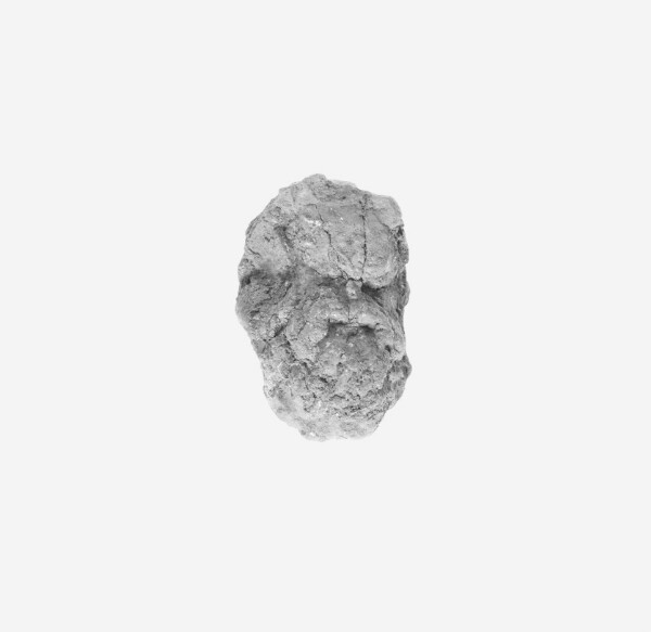Unknown, Head of a Comic Actor