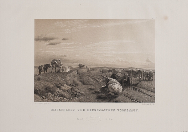 Adolph Kittendorff, Malkeplads ved herregaarden Vognserup
