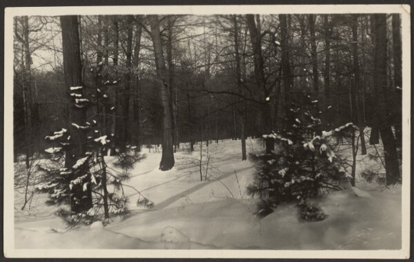 Louis Fleckenstein, [Snowy Landscape]