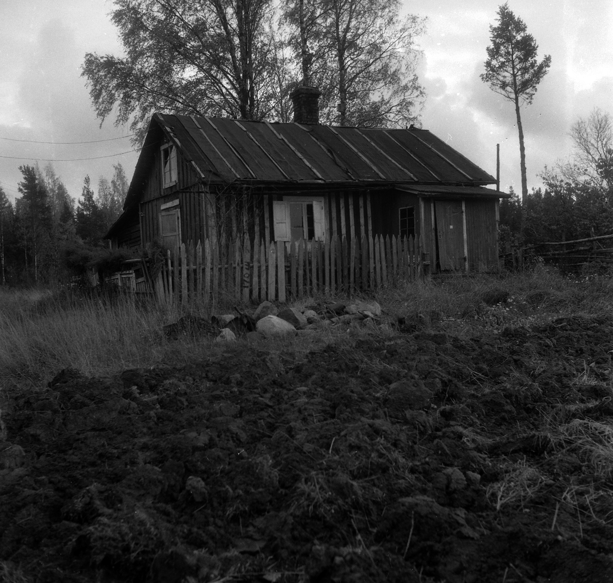Adolf Skjegstad, ASK-02328