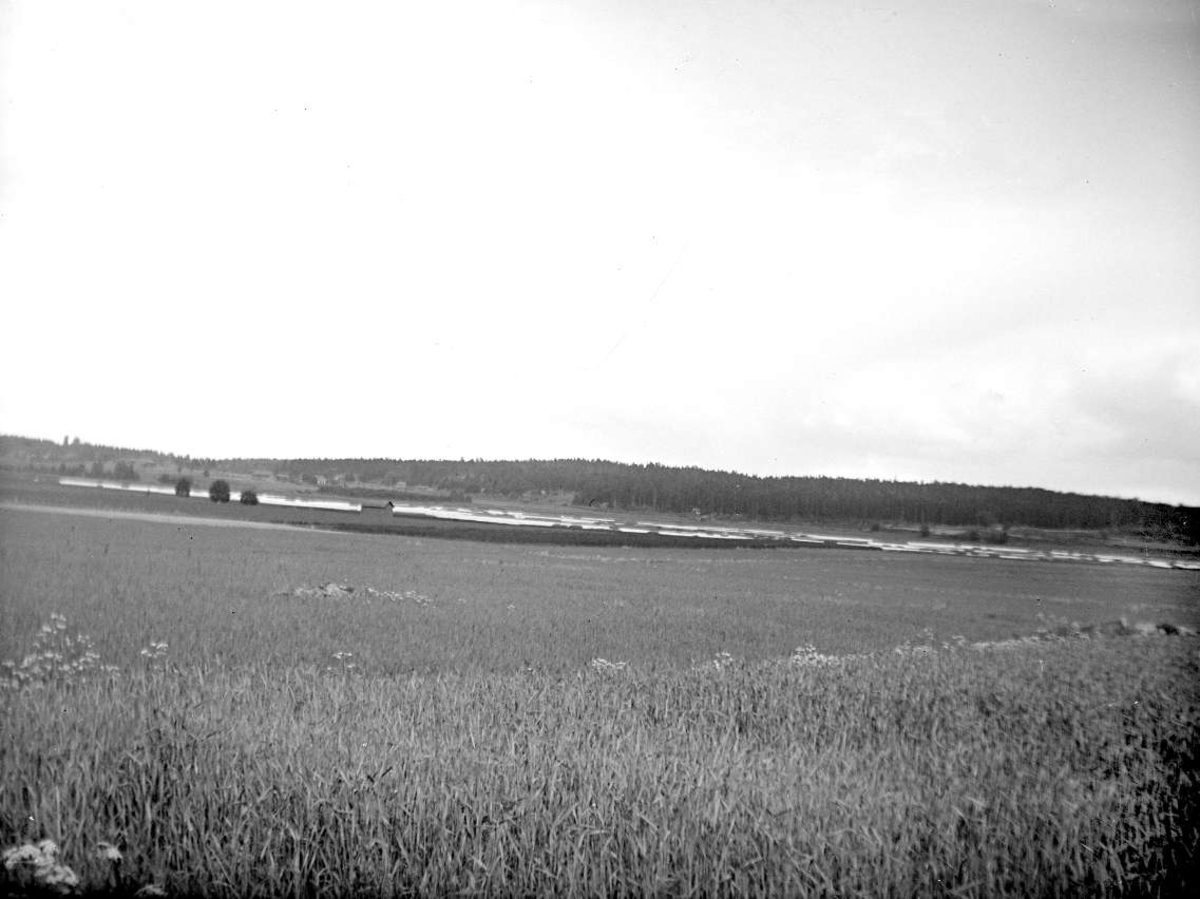 August Fredrik Schagerström, Landscape view with Lake Hall, ground vegetation, beach and arable land in Huddunge parish, Uppland in June 1925