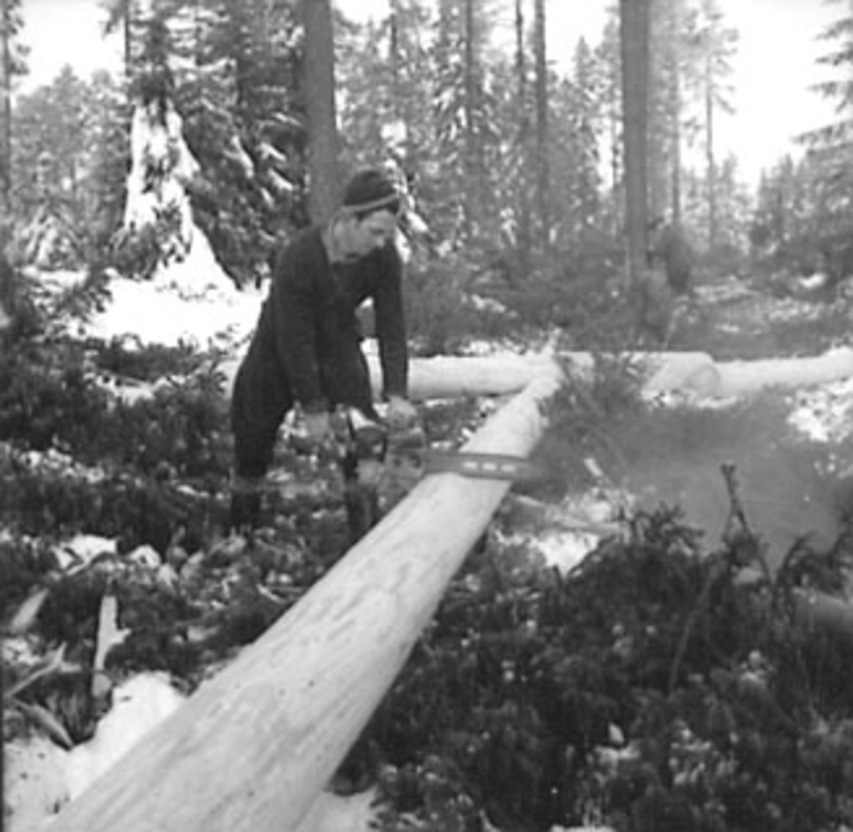 Anno Domkirkeodden, SKOGBRUK, TØMMERMÅLING, MANN MED MOTORSAG, VINTER, SNEKKERSVEDRIFTA, PRESTMARKA, STANGE