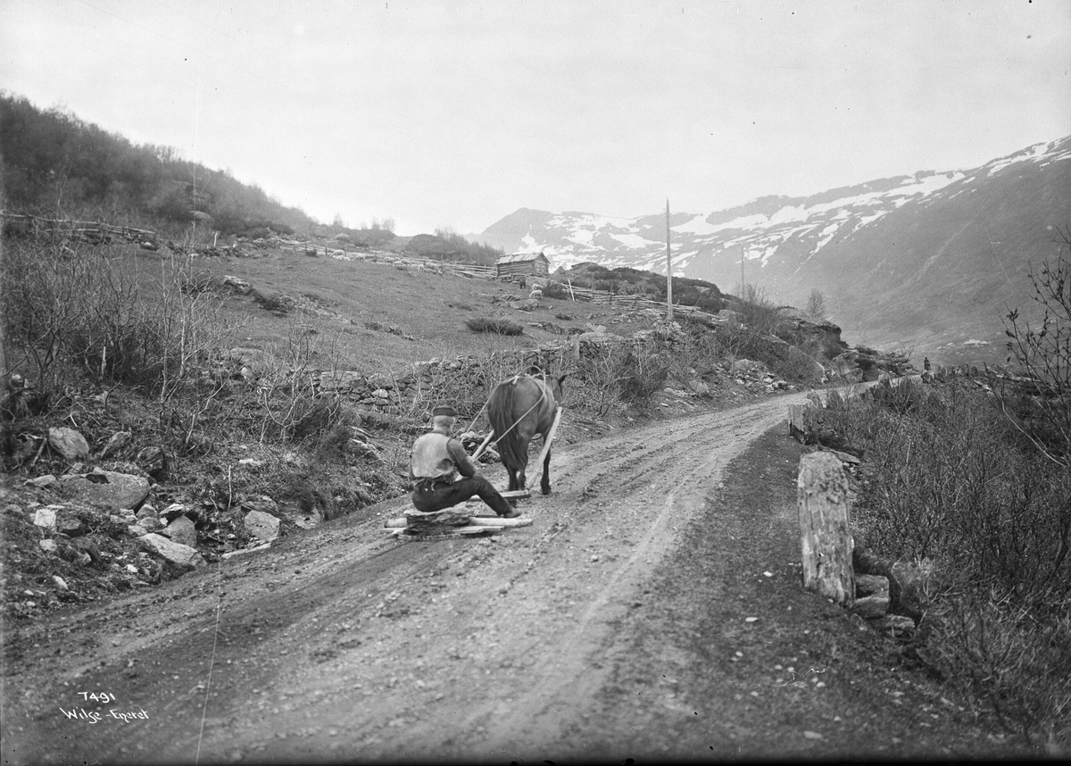 Anders Beer Wilse, Prot: Genere Metode at gjevne veien paa, Valdres