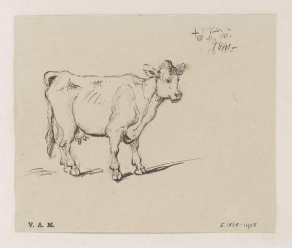 George Chinnery, A study of a cow
