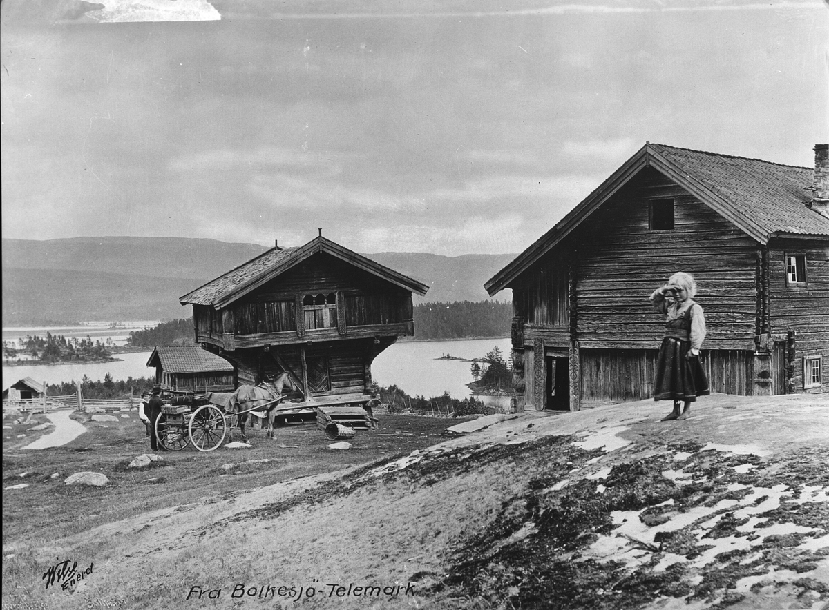 Axel Lindahl, "Prot:Bolkesjø