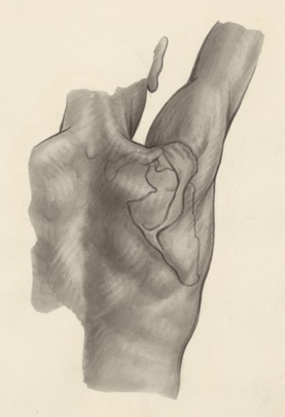 J Tinkelenberg, Shoulder joint