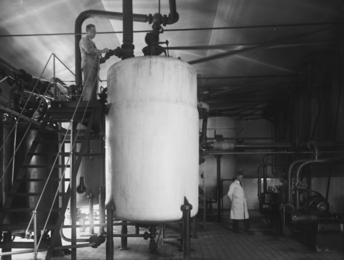 Anders Beer Wilse, Konv: Pellerin