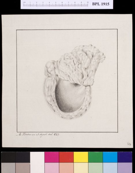 M Houtman, Bladder?
