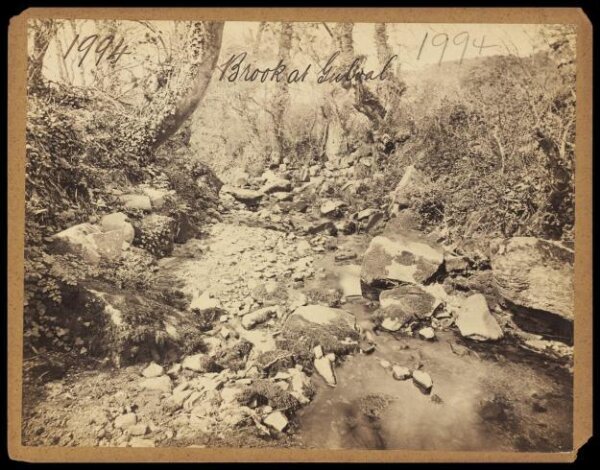 Francis Frith, Brook at Gulval