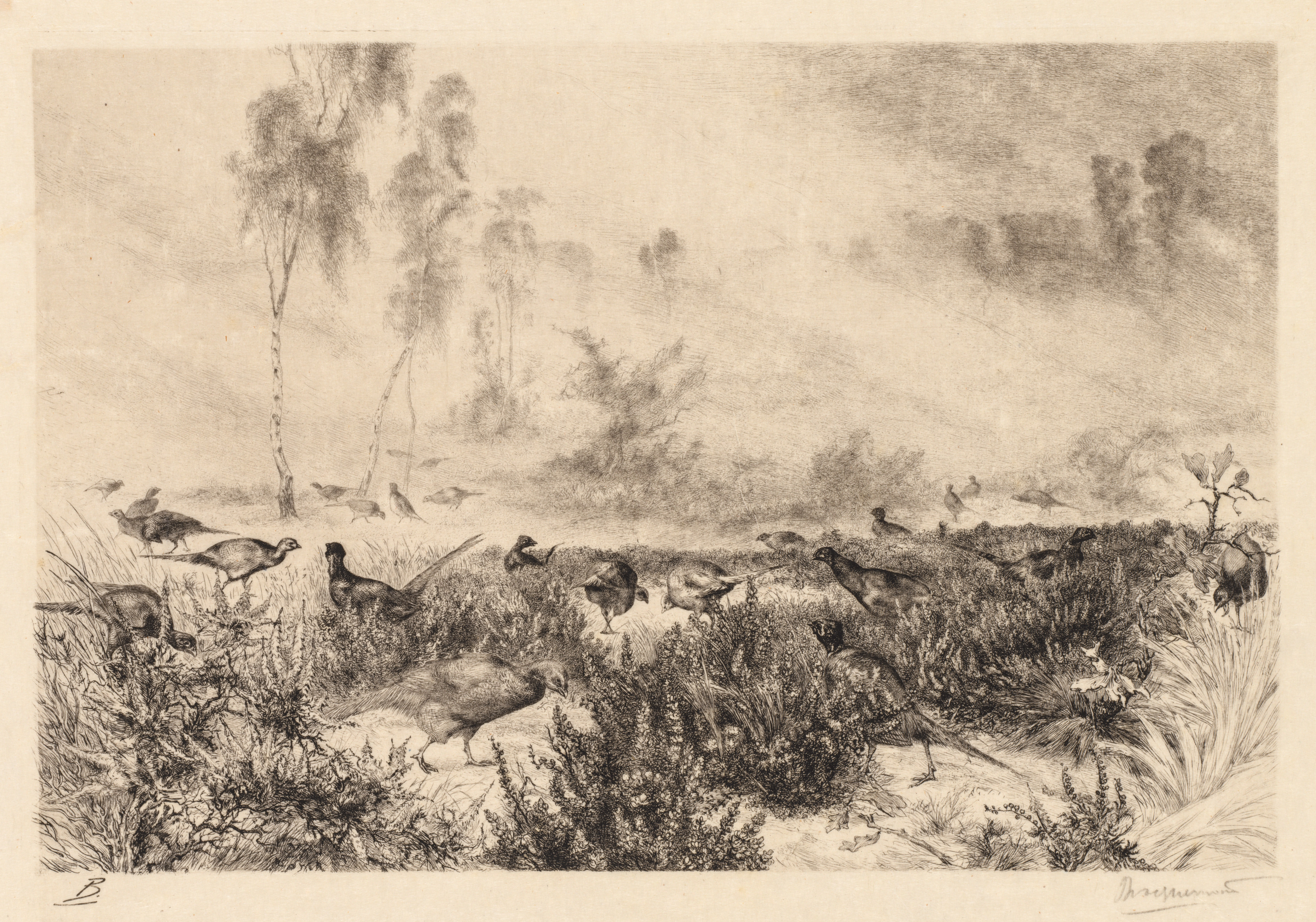 Félix Bracquemond, Morning Mists (Brumes de Matin)