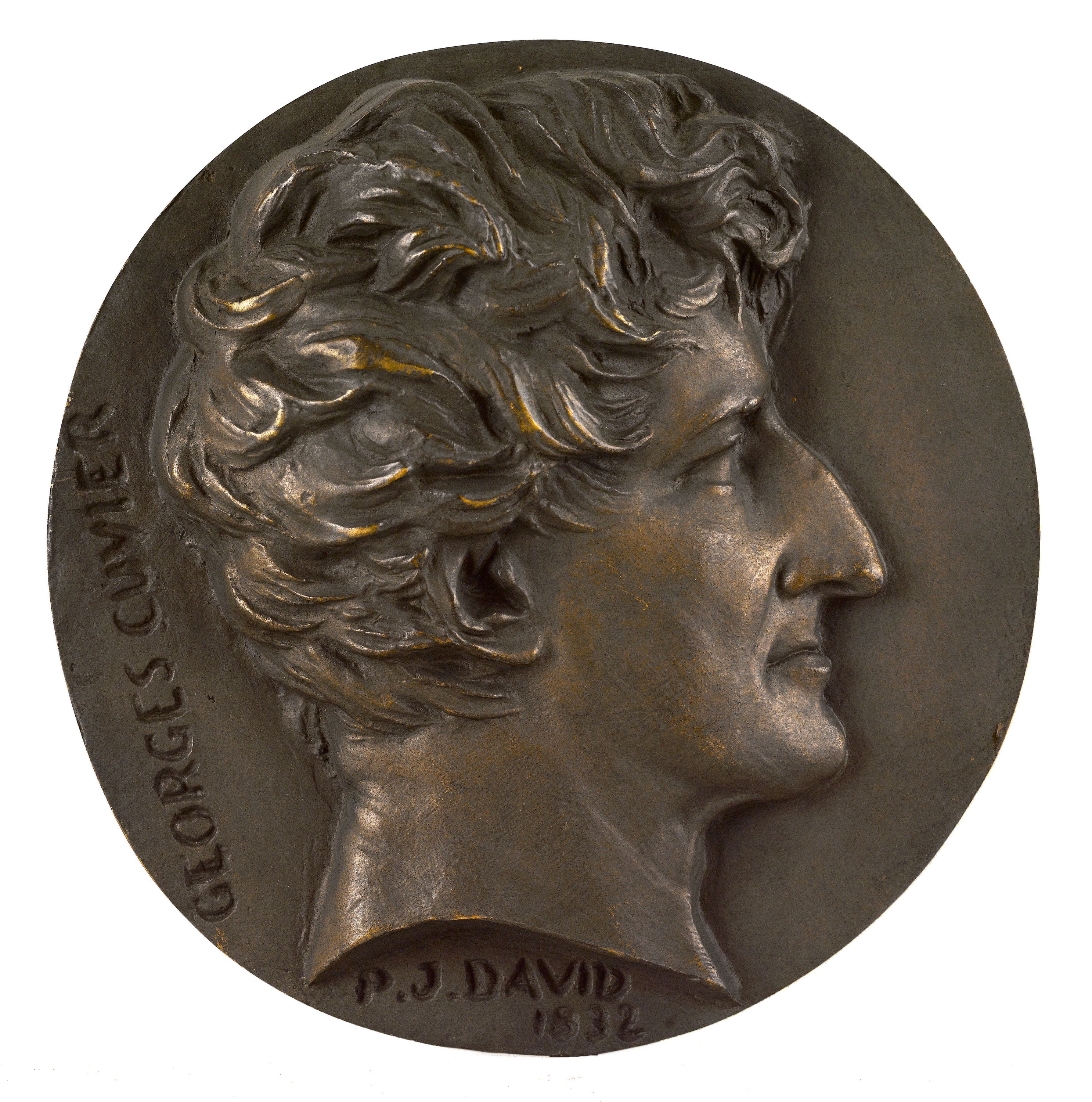 David d'Angers, Portrait de Georges Cuvier (1769-1832), naturaliste