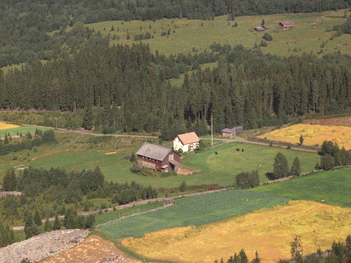 Widerøes Flyveselskap A/S, Flyfoto, Steinsli, Åsmarka, Ringsaker.