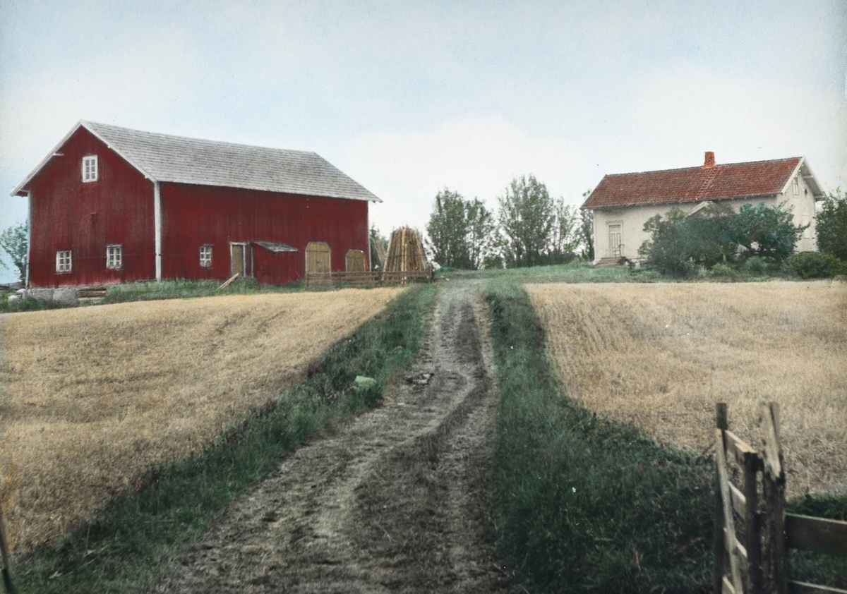 Ukjent, Elvsrud unna Slemsrud, 88/4. Vang H. Gardsbruk.