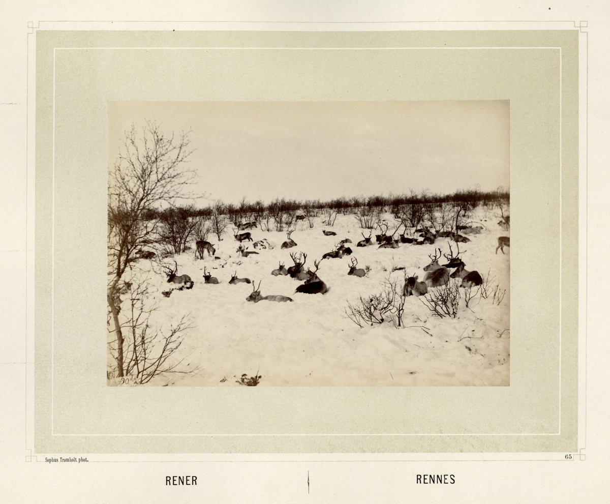 Sophus Tromholt, Billeder fra Lappernes Land/Tableaux du Pays des Lapons