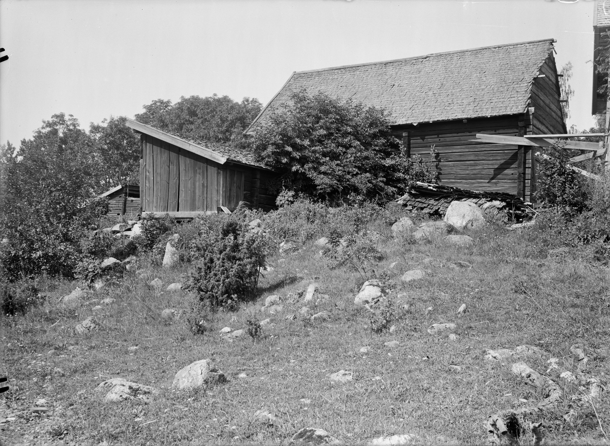 Paul Sandberg, Svinstia och fähus - nu på friluftsmuseet Disagården - på ursprunglig plats, Lilla Bultebo, Tierps socken, Uppland 1930