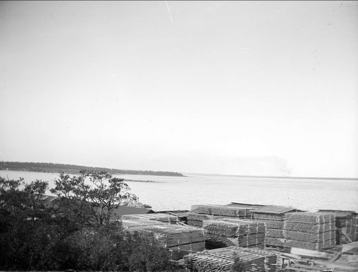 August Fredrik Schagerström, Havskust vid Skutskär, Älvkarleby socken, Uppland september 1916