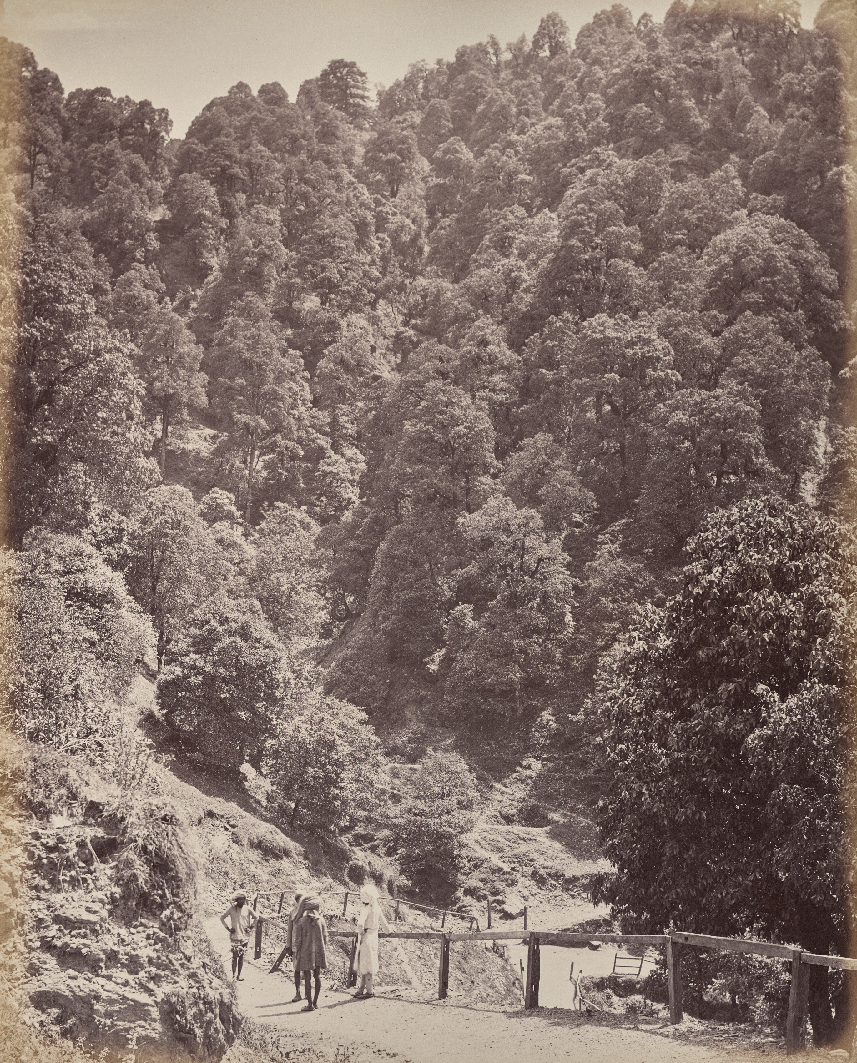 Samuel Bourne, Shimla. View North of Mount Jakko
