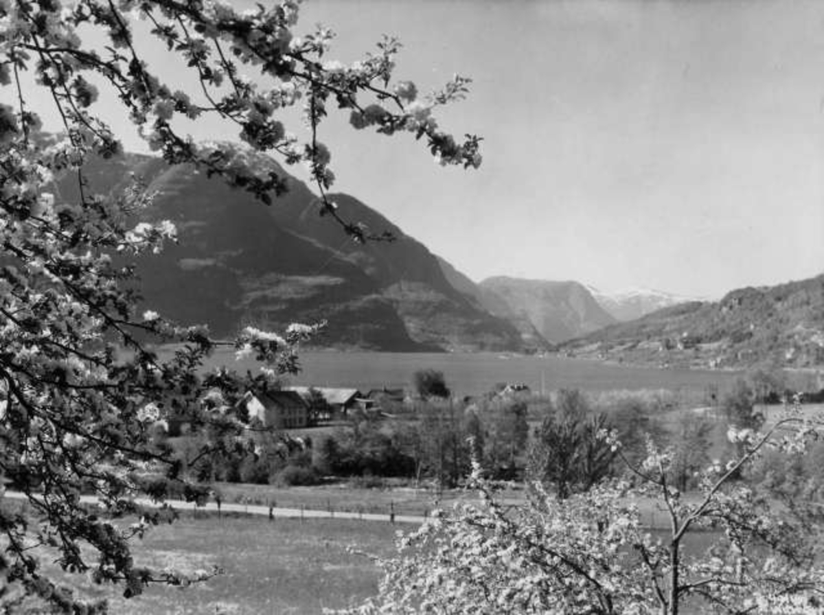 Anders Beer Wilse, -7218