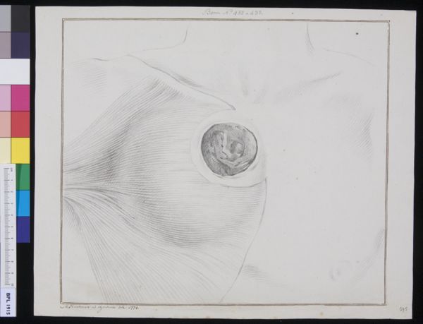 M Houtman, Unidentified subject