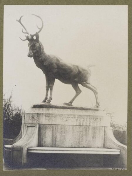 unknown, Photograph