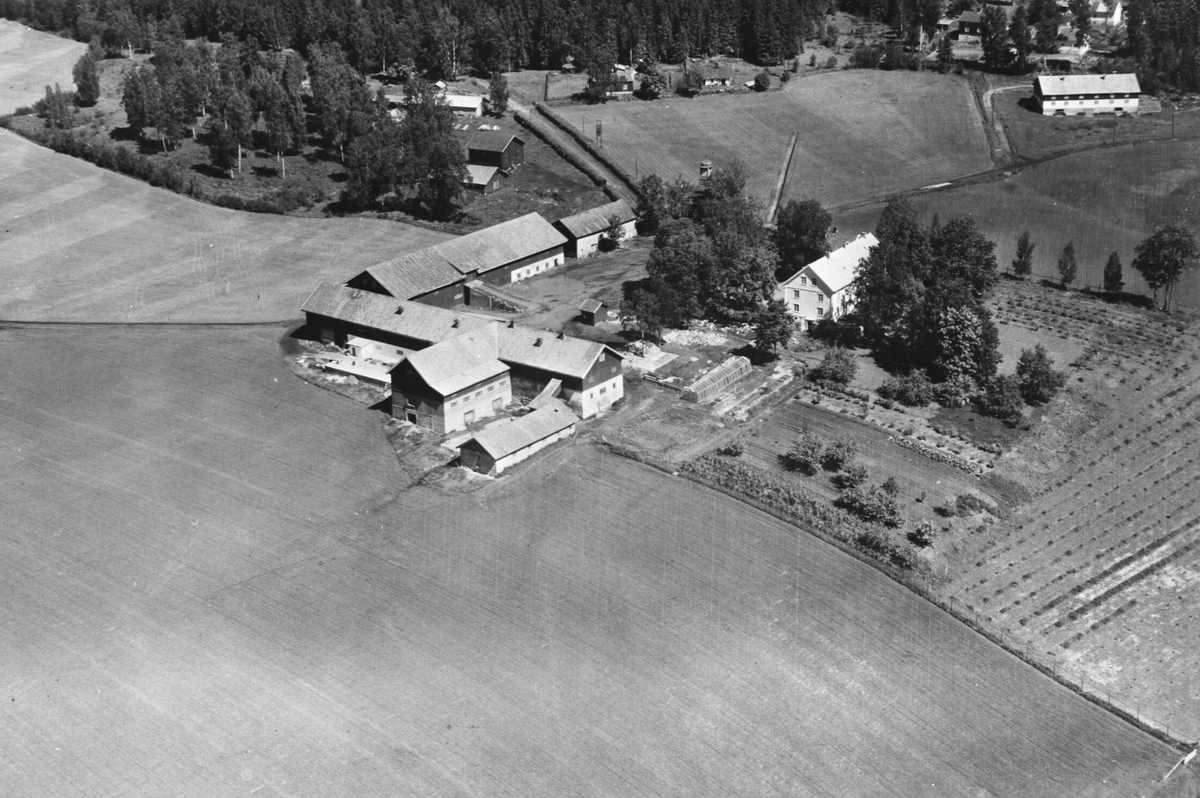 Anno Domkirkeodden, Flyfoto av Tjerne gard, Gaupen, Ringsaker.