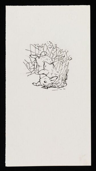 Potter, Beatrix, drawing