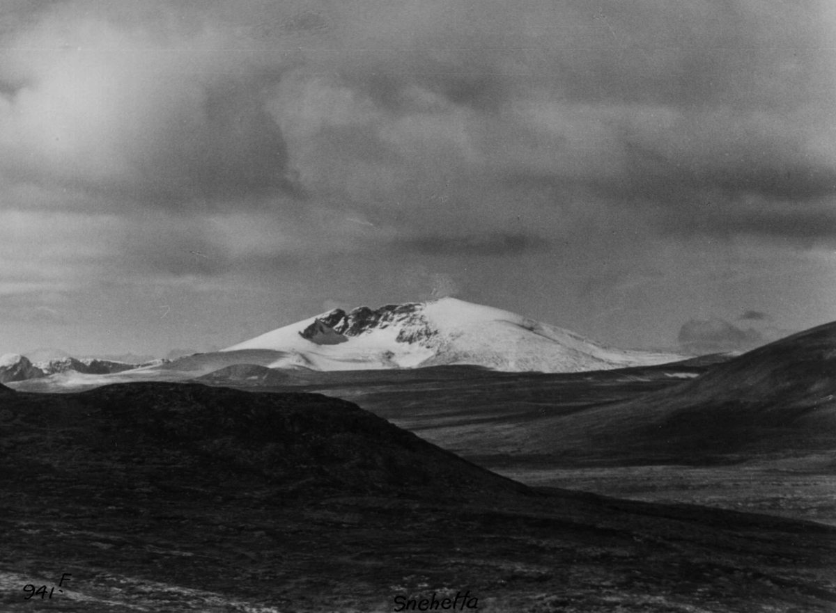 Anders Beer Wilse, Dovrefjell, Snohetta