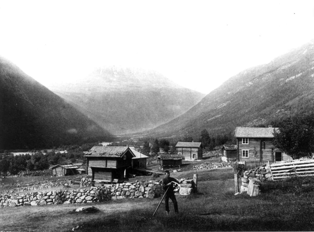 Marthinius Skøien, Tinn, Telemark med utsyn mot Gaustatoppen. Landskap med gårdsbebyggelse. Mann med ljå i forgrunnen.