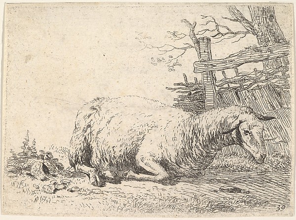 Karel Dujardin, A sheep lying with its legs folded underneath its body next to a wooden fence, the sheep in profile view