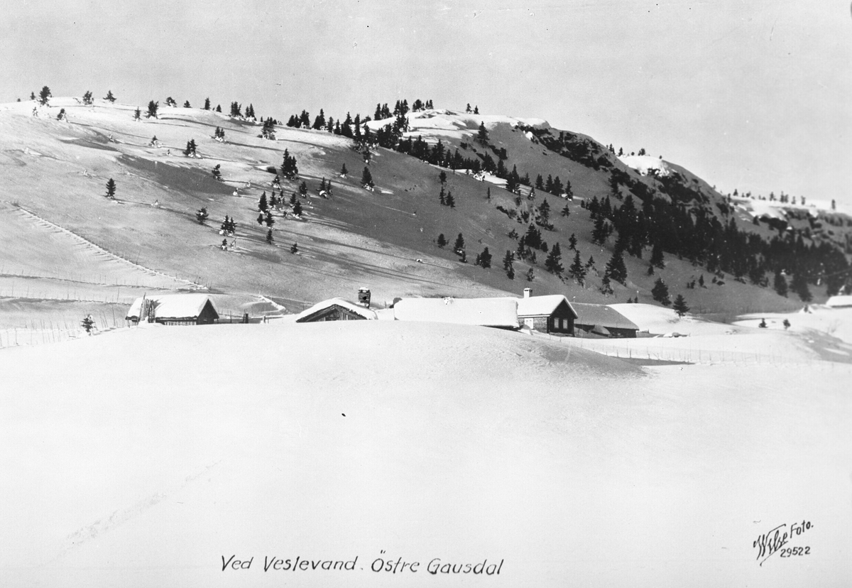 Anders Beer Wilse, Prot: Gausdal, ved Veslevand