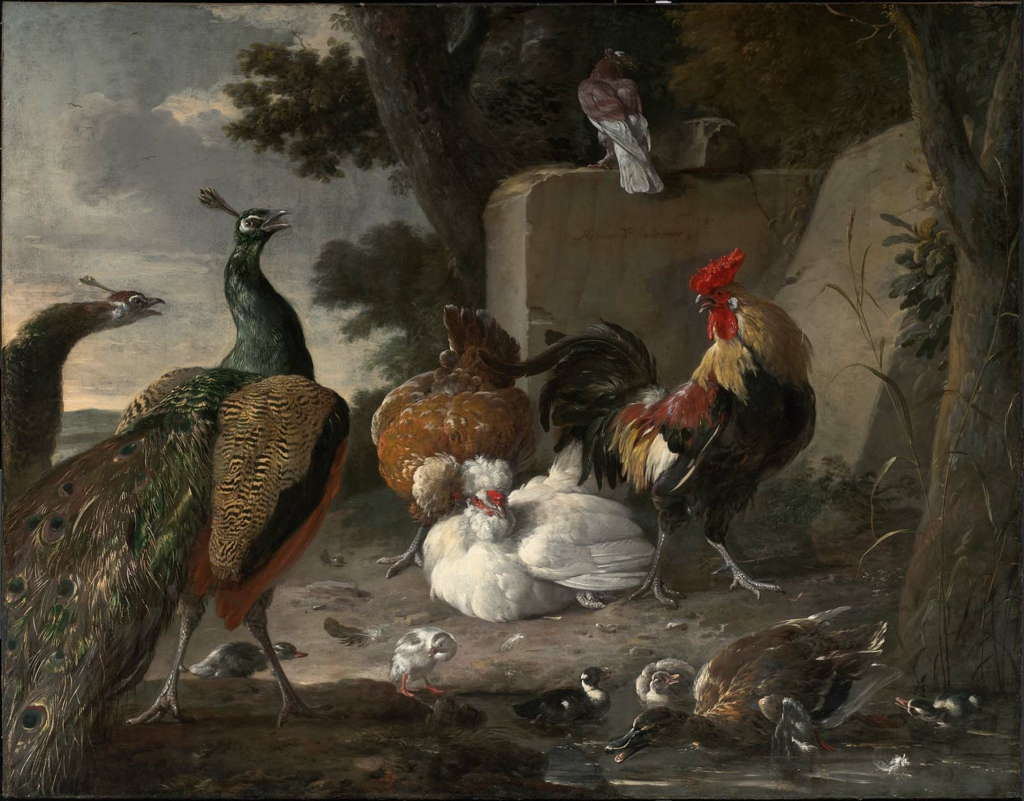 Melchior d'Hondecoeter, Barnyard Fowl and Peacocks