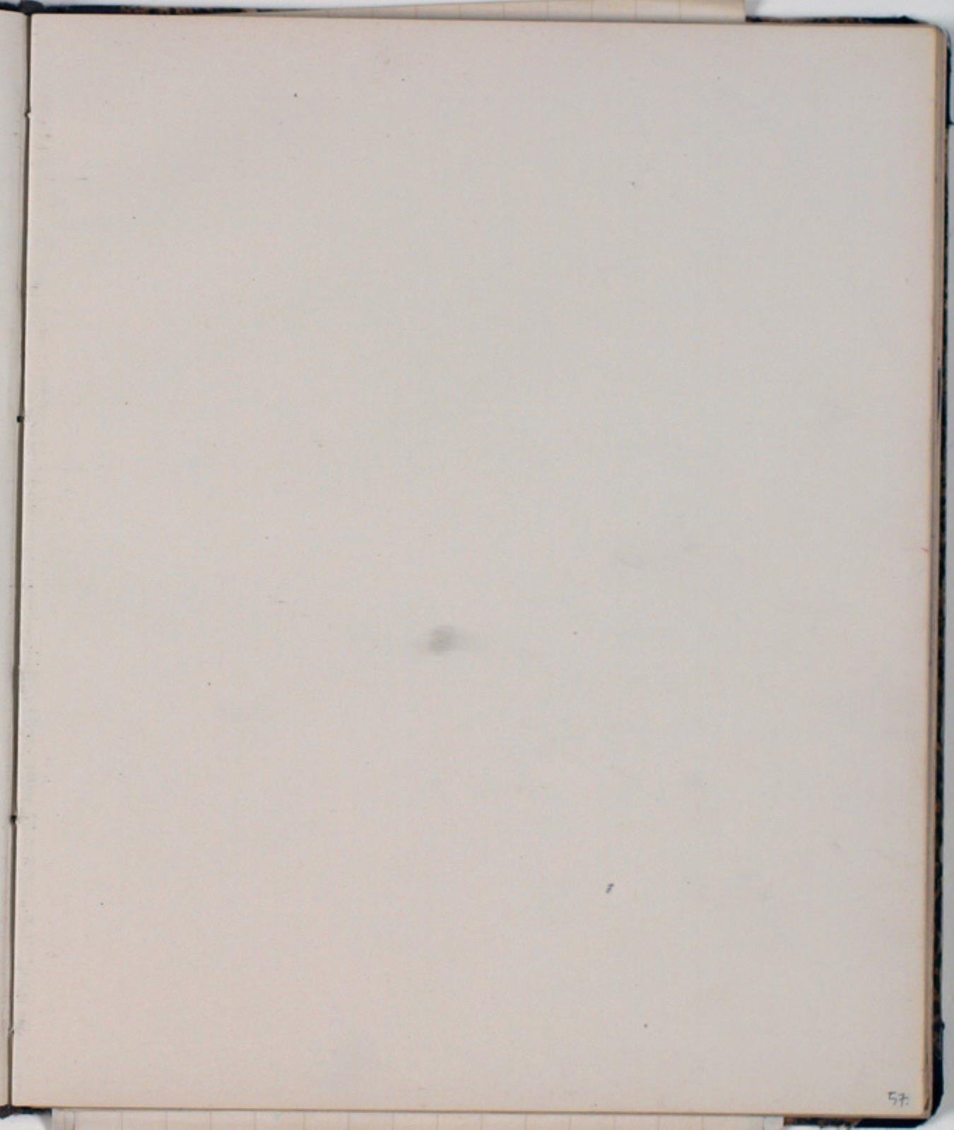 Niels Larsen Stevns, Blank