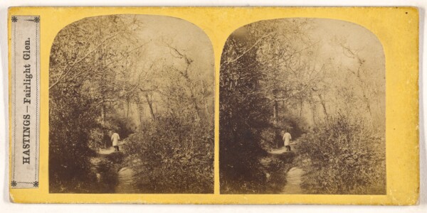 Unknown, Hastings - Fairlight Glen.