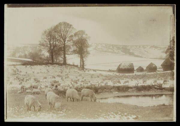 Gale, Lt. Col. Joseph, Flock of sheep in a landscape