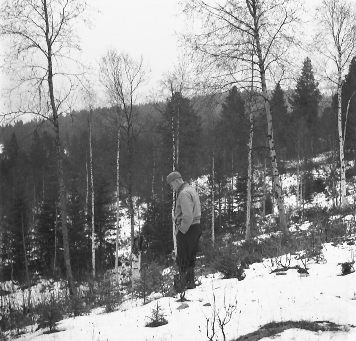 Per Magne Grue, Skogreisningsfelt i Vingelen, Kai Rusten.