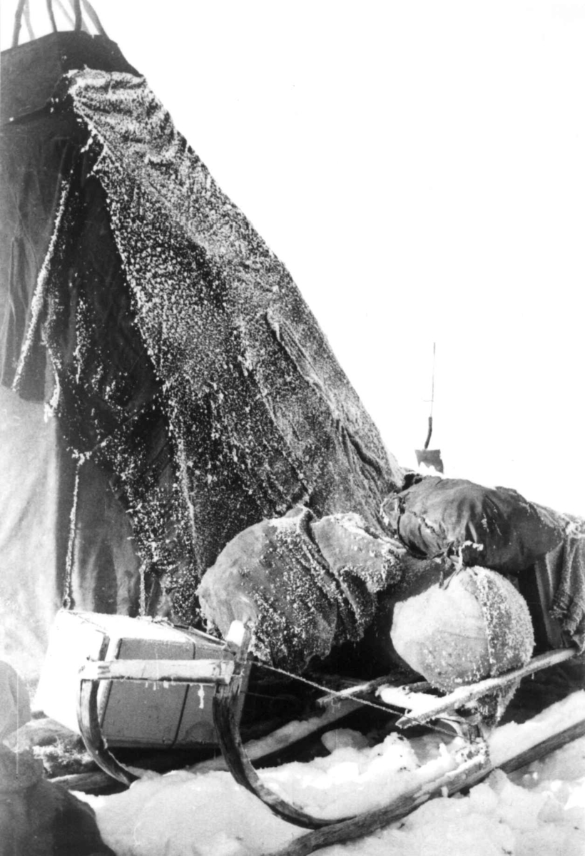 Virginia Raymond Davidson, Sara-familiens telt med rimfrost, foran teltet står en slede lastet med sekker. Finnmarksvidda 1958.