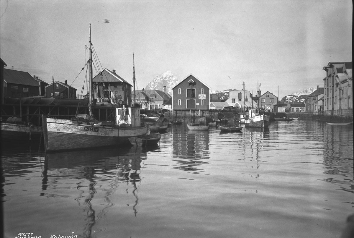 Anders Beer Wilse, Prot: Kabelvåg