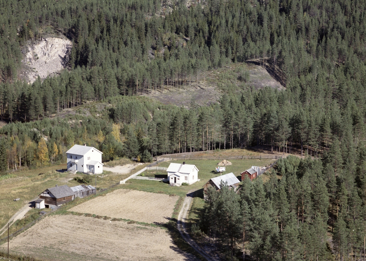 Widerøes Flyveselskap A/S, Gardsbruk