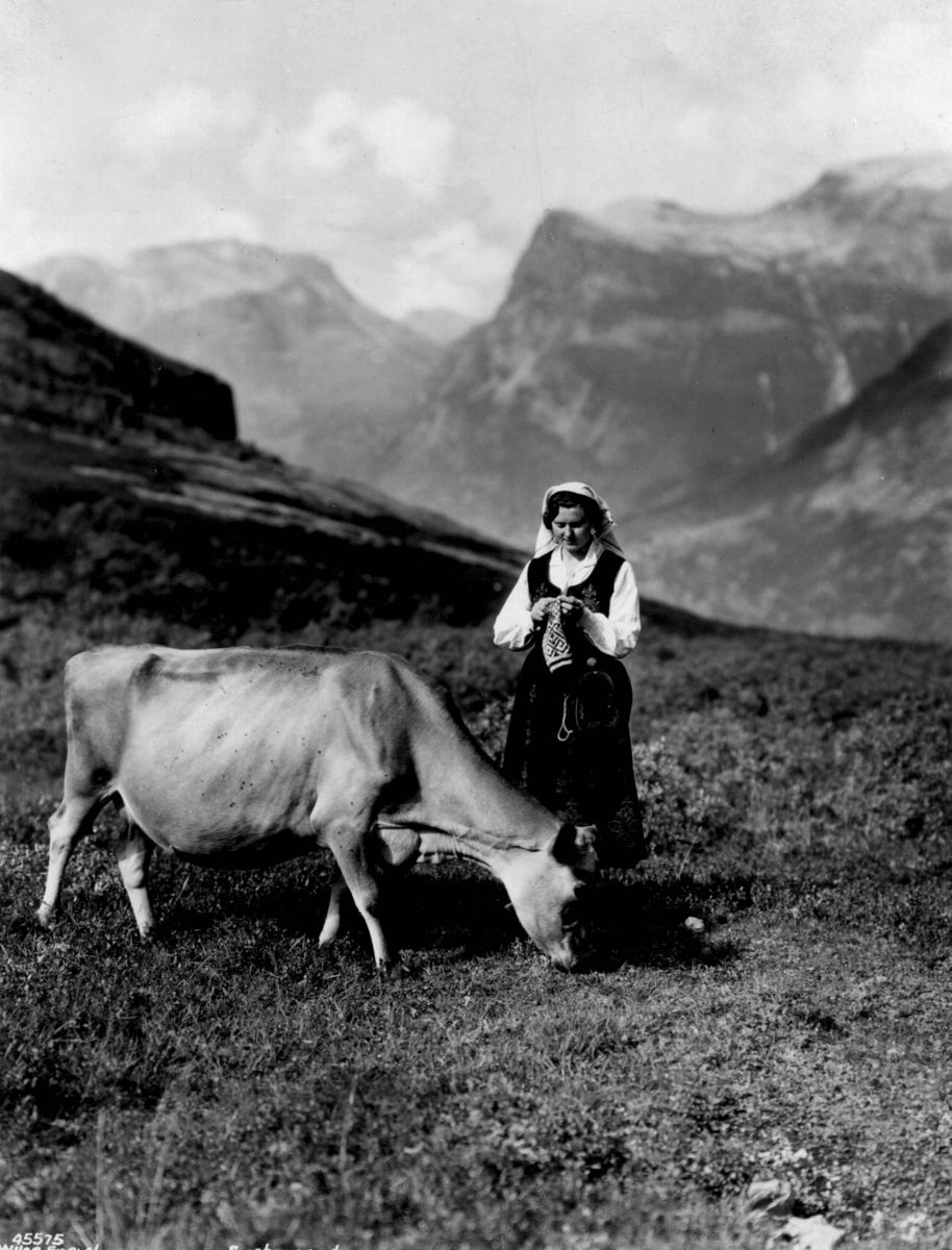 Anders Beer Wilse, Kvinnedrakt, , More og Romsdal. Sunnmørsbunad