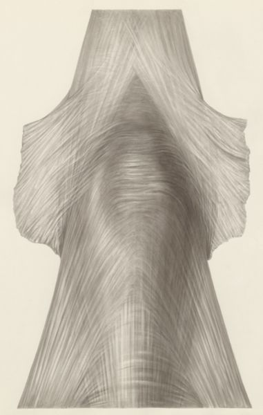 H.G Wetselaar, Muscular tissue of a lizards upper extremities