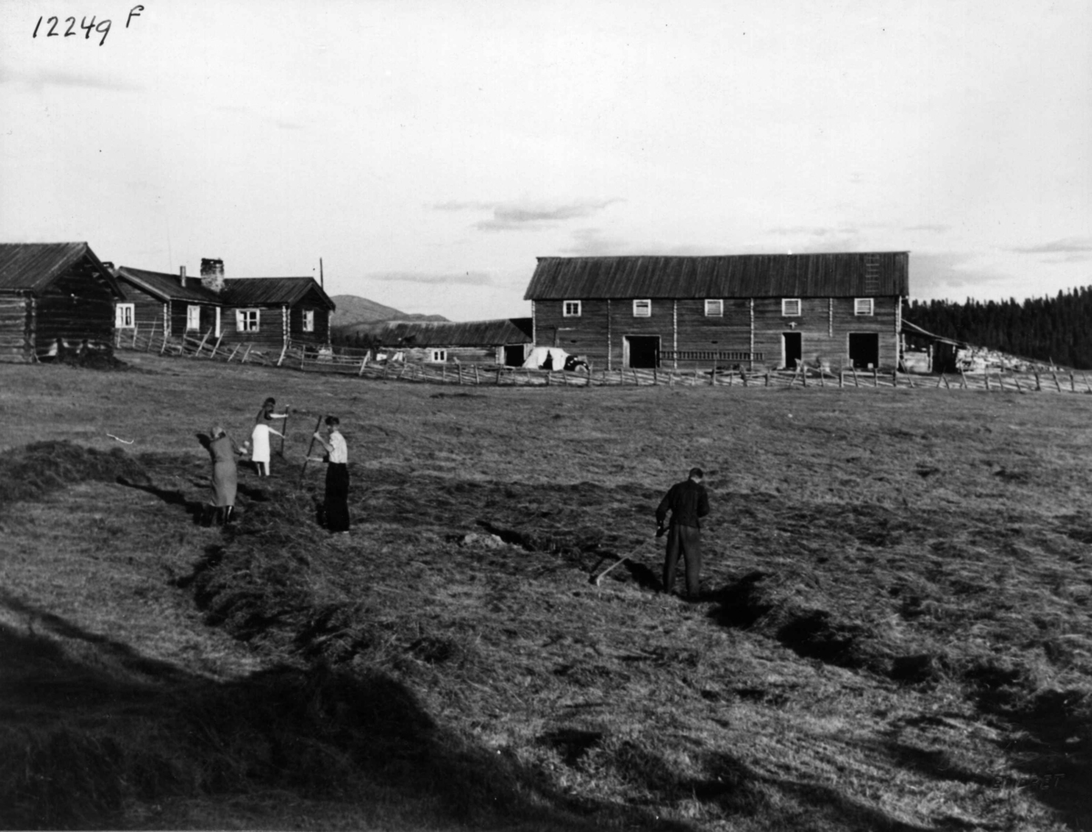 Anders Beer Wilse, Hirkjolen Landbruk