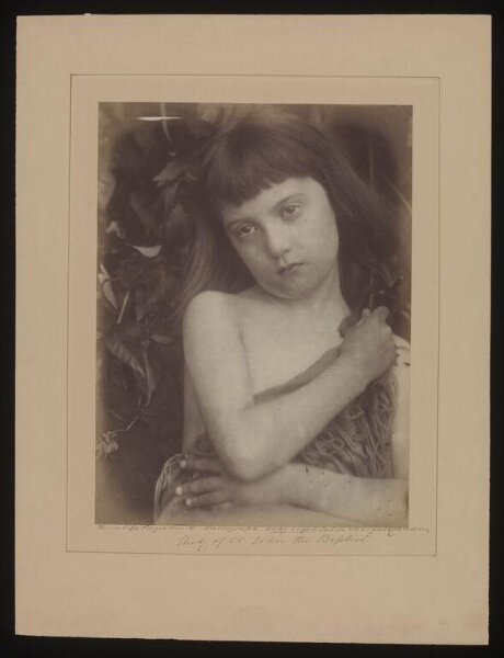 Cameron, Julia Margaret, St. John the Baptist