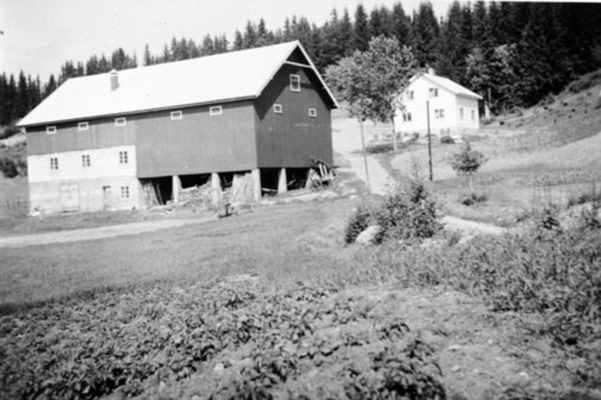 Anno Domkirkeodden, Eksteriør, gardsbruk, Haugom, Stavsjø, Hedmark.