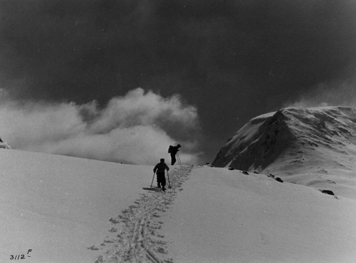 Anders Beer Wilse, Friluftsliv / Sport Ski På Heilstugubreen