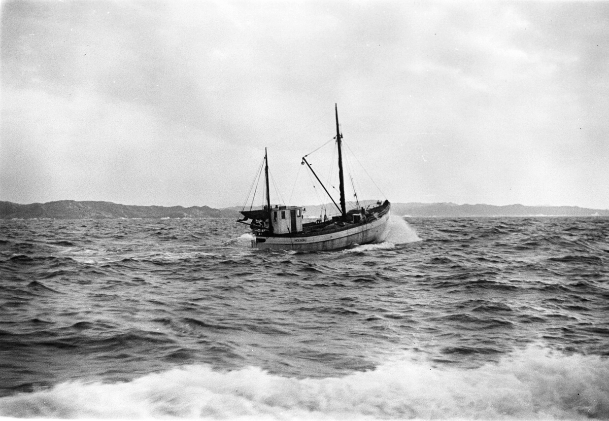 Anders Beer Wilse, Prot: Sildefiske paa havet